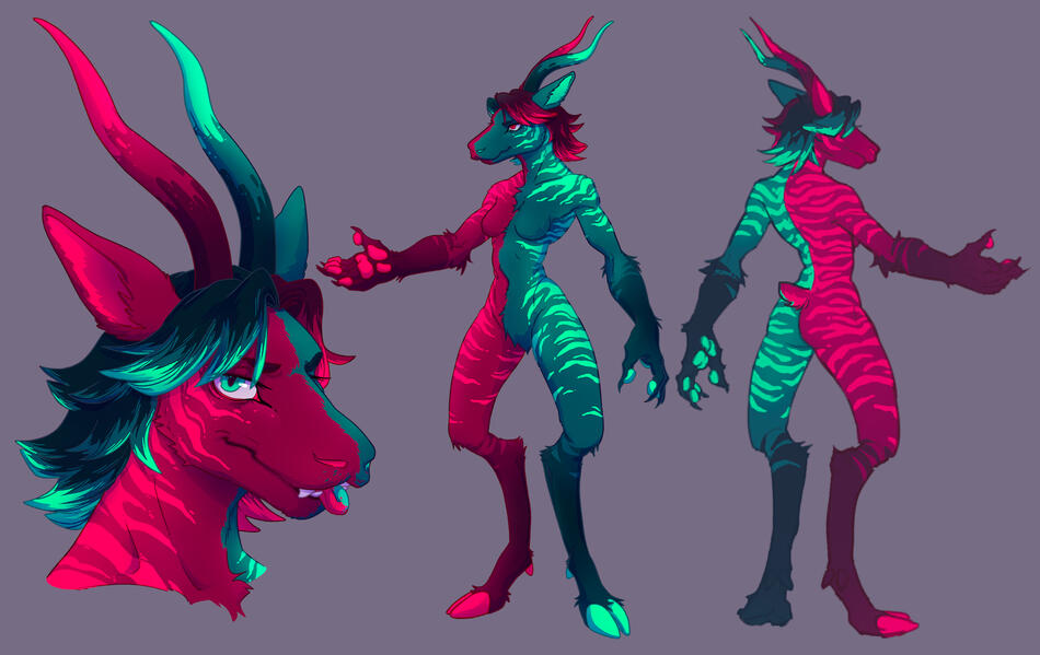 full ref sheet